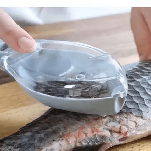 黑鱼鳞片怎么刮