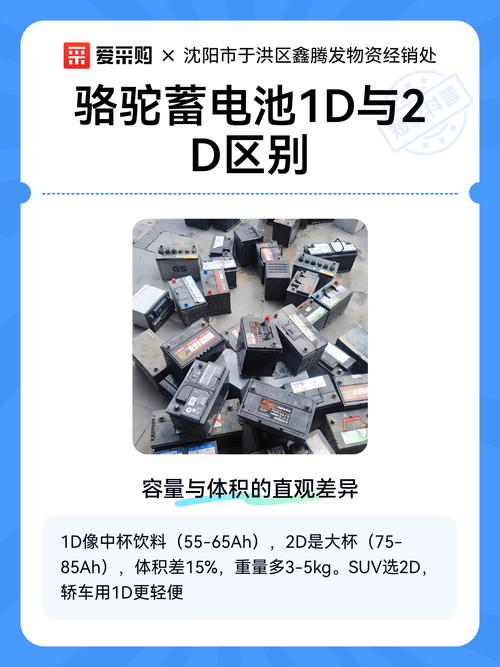 1d和2d的区别
