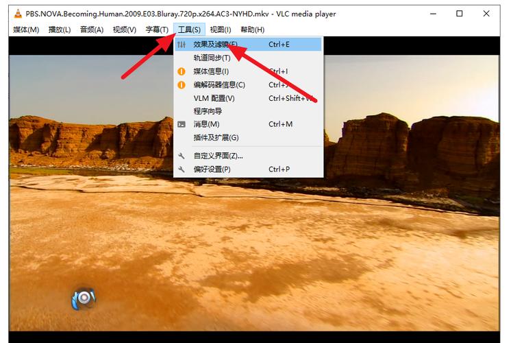 VLC Media Player使用方法
