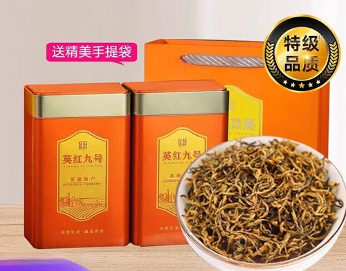 英红九号可以放几年