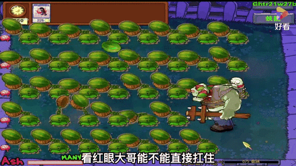 植物大战僵尸烧饼视频