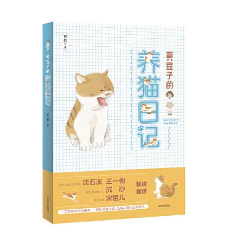 养猫日记