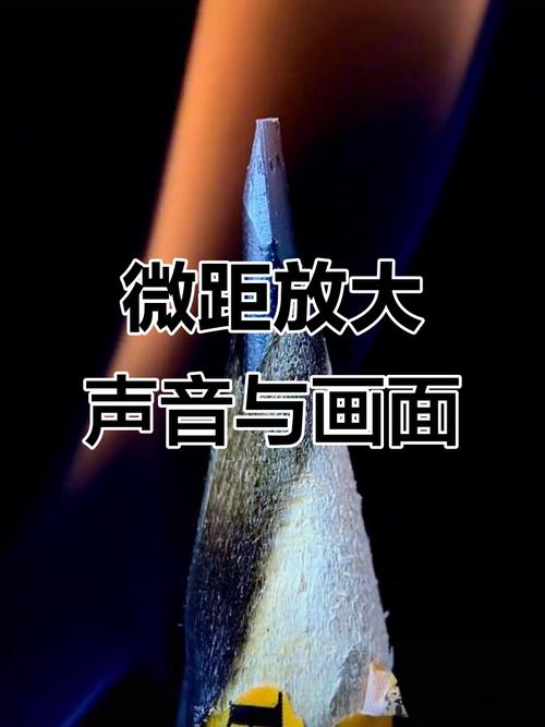 mediaplayer有声音没有画面