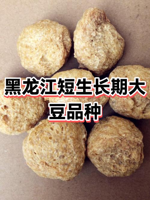 短豆一