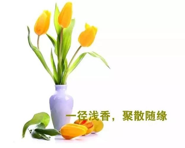 缘分最走心的文案