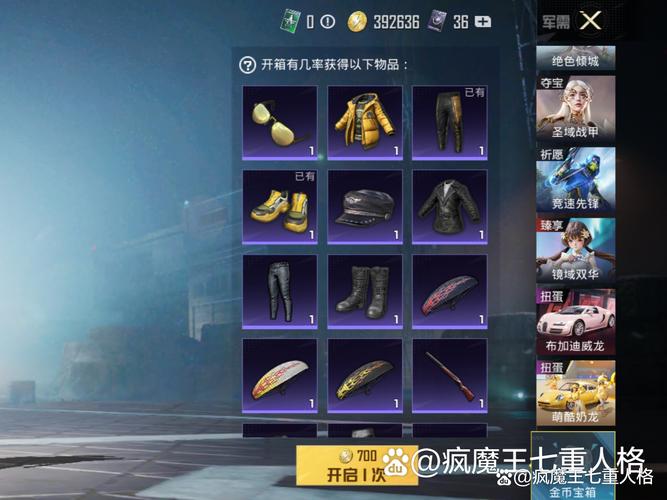 和平精英,金币有什么用