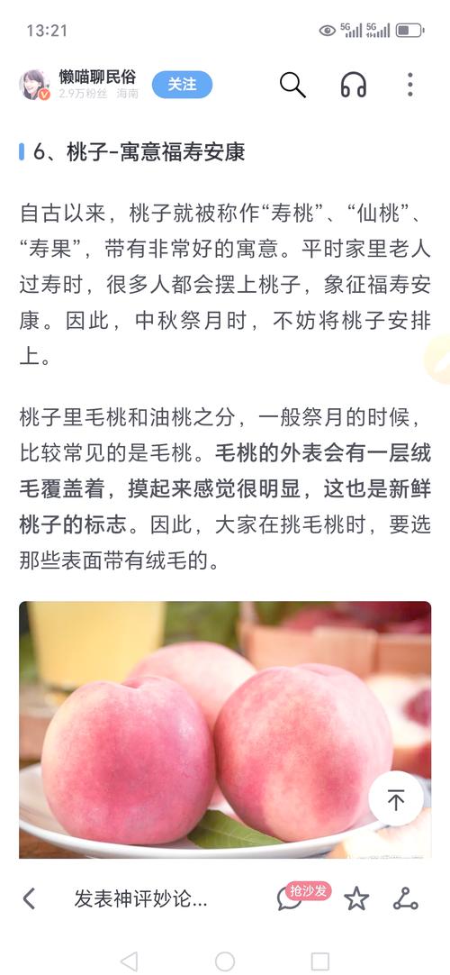 网络暗语桃子的含义