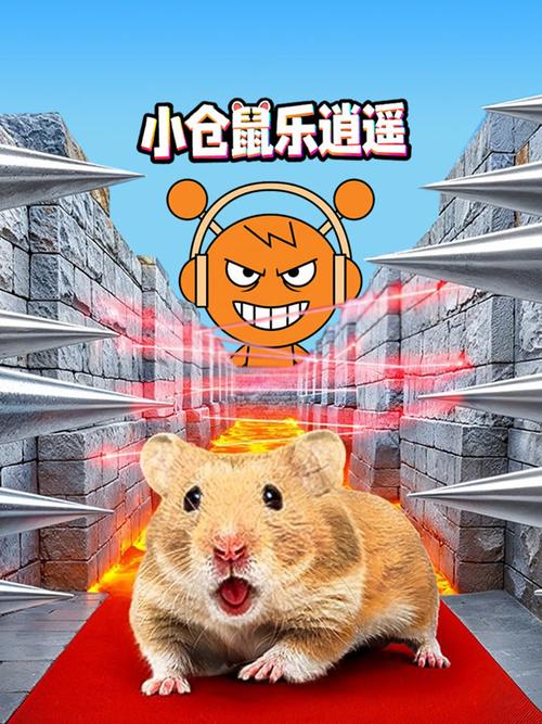 小仓鼠动画片视频全集免费观看