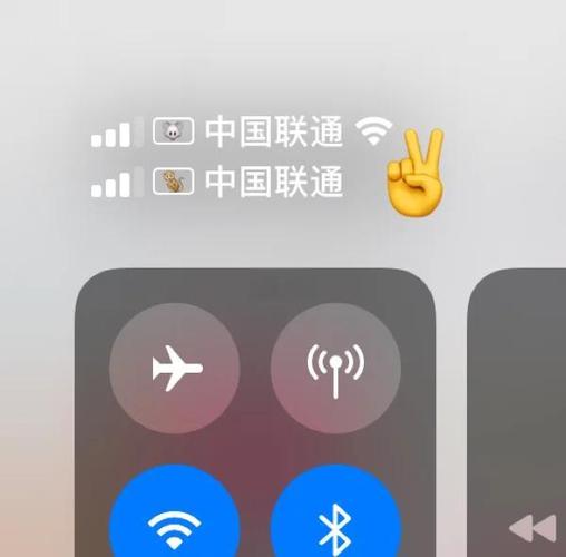 iphone信号个性化设置