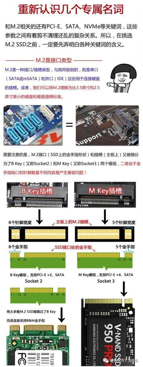 华南x99主板兼容哪种m2接口
