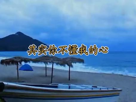 其实你不懂我的心的说说句子