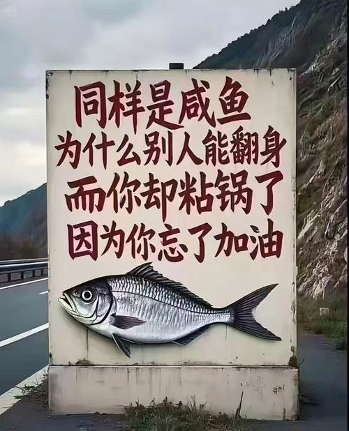 咸鱼翻身的下一句妙句
