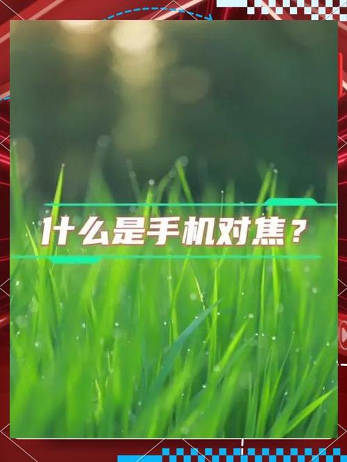 手机照相不能对焦怎么办