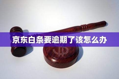 京东白条逾期会催收吗图标