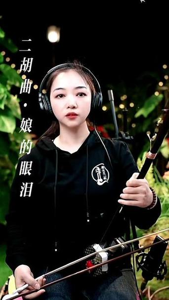 娘的眼泪二胡独奏曲谱图标
