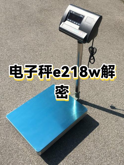 蓝洁仕电子秤使用说明