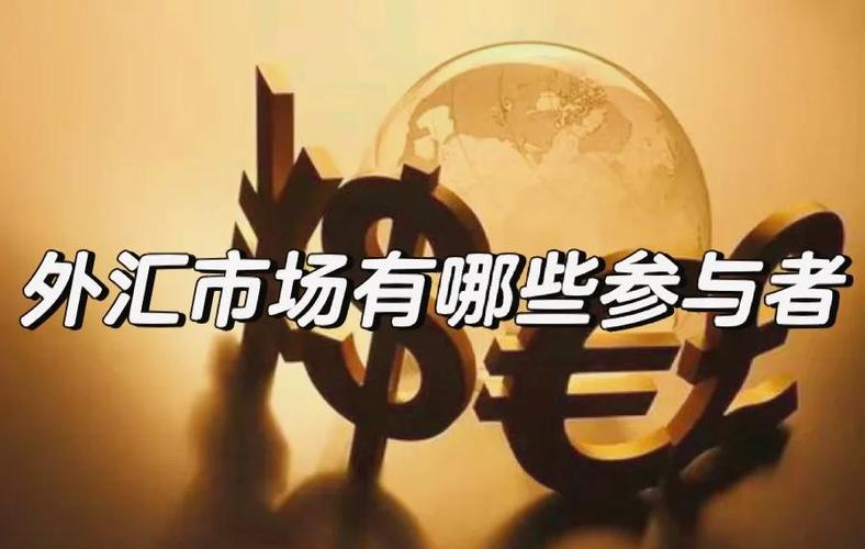 货币市场参与者