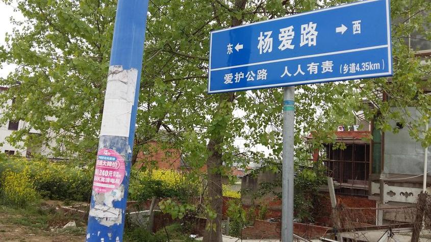 南京西祠胡同手机版