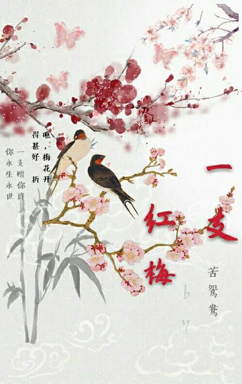 一本小说女主叫红梅