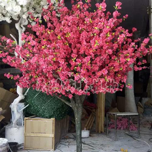 樱花私人αV影院