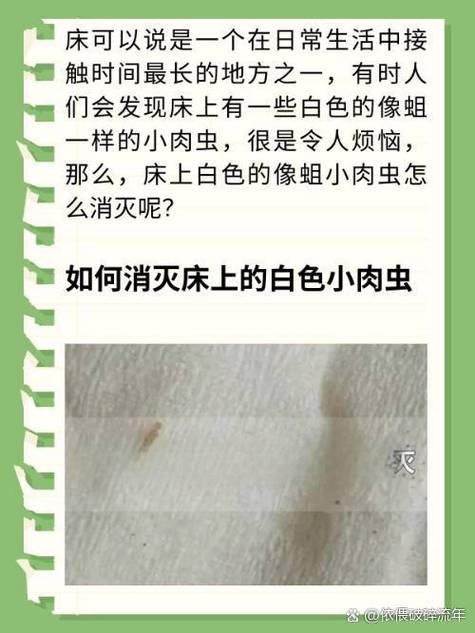 床上有小红虫要警惕了
