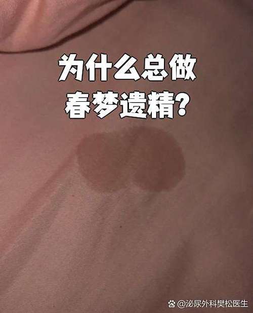 白日春梦缩略图