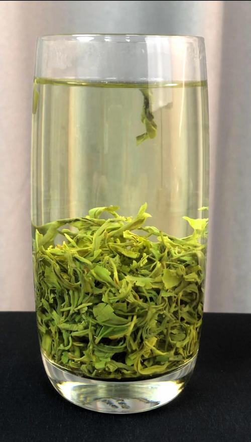《绿茶》by苏钱钱