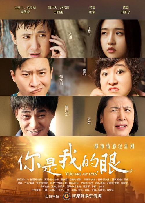 你是我的眼全集免费看