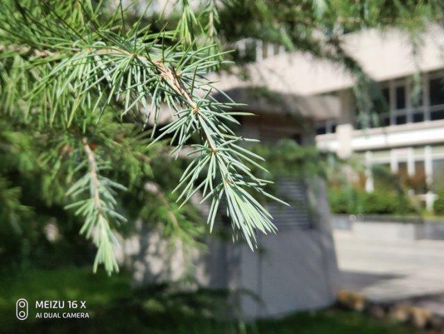 魅族16x的拍照效果