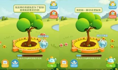 拼多多果园第二次种水果