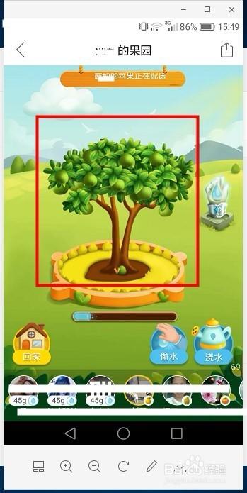 多多果园查种几棵树