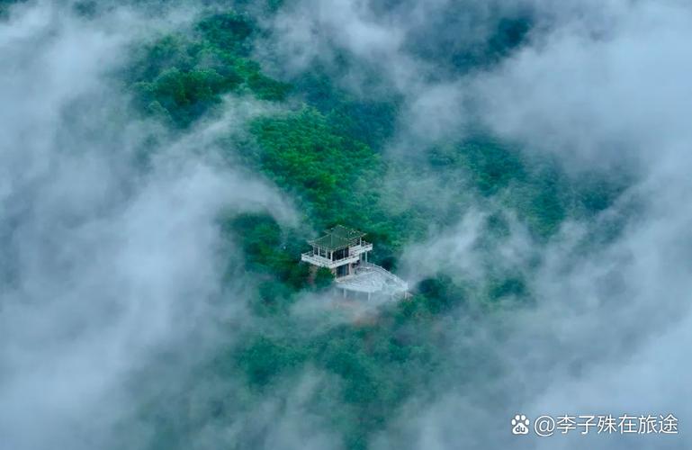 拼多多评价看不到是什么原因