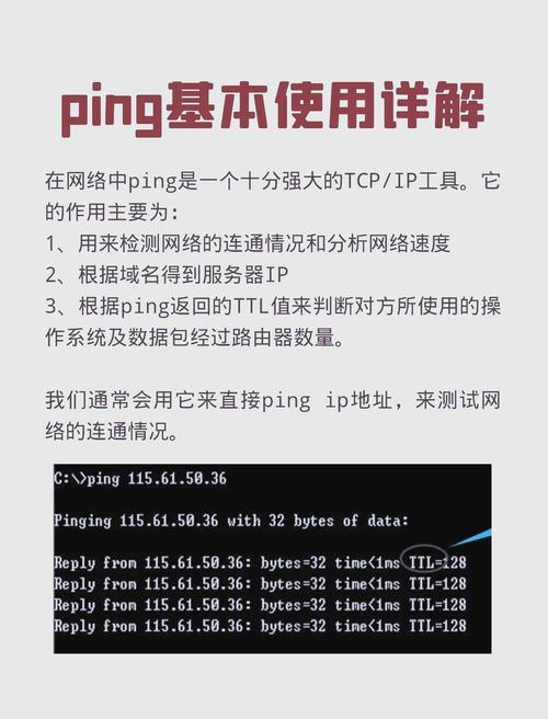 登录pingpong