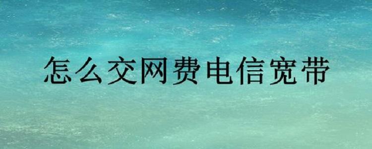电信宽带交费怎么交