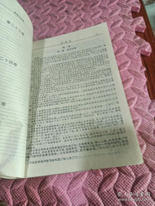 加料寻秦记txt手动截图