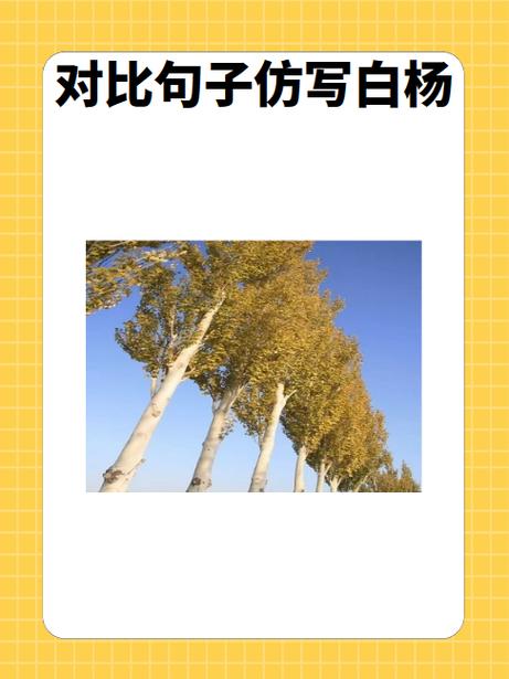 运用对比手法的句子