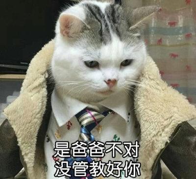b站小测佬爸爸是谁图标