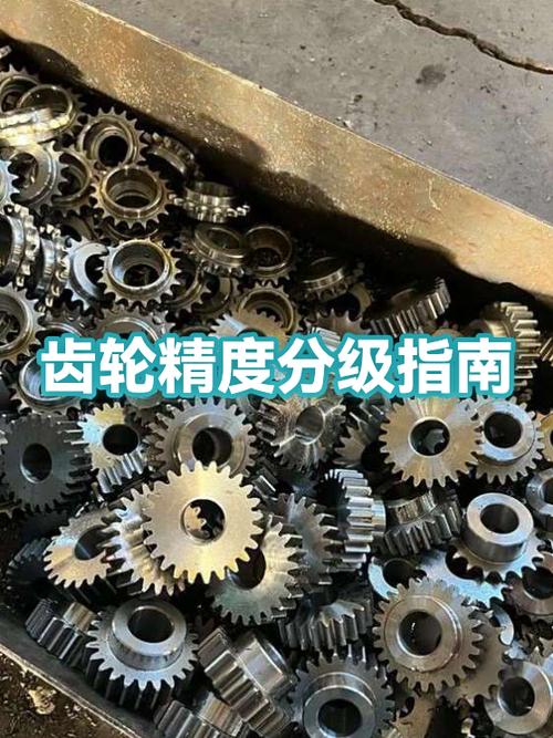 齿轮等级1-10级
