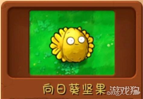 植物大战僵尸怎么重叠植物