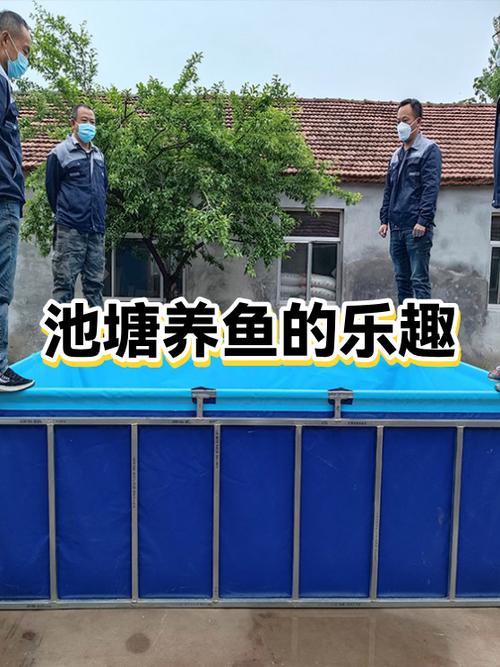 养鱼带来的乐趣