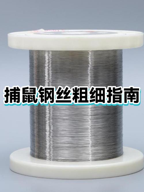 钢丝捕鼠套视频教程