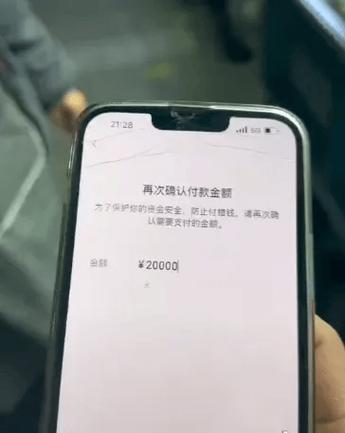 手机显示转账成功,但钱没到账缩略图