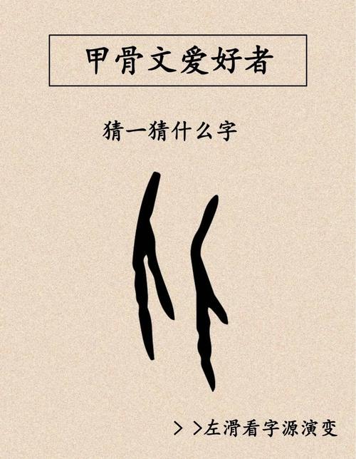 从的意思是什么