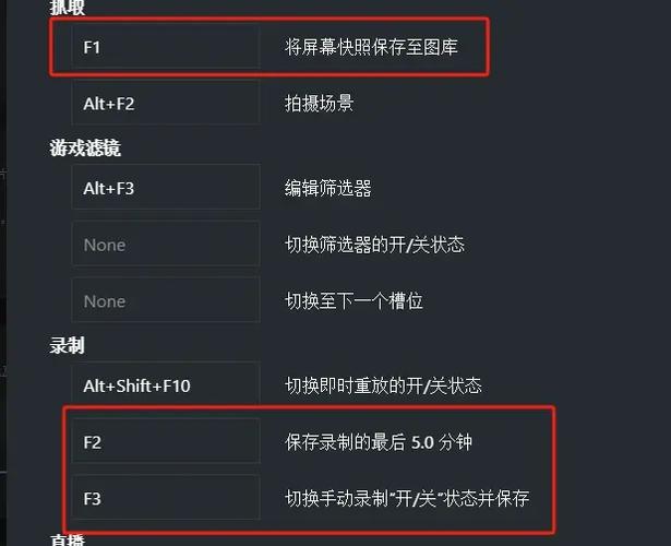 n卡视频录制怎么关闭