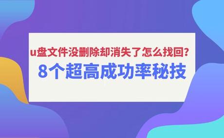 一级猎术加多少成功率