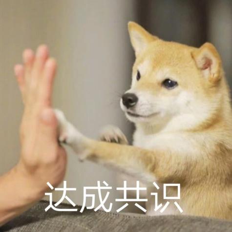 网红柴犬搞怪表情包缩略图