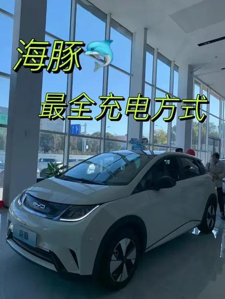 海豚可以设置充到95电吗