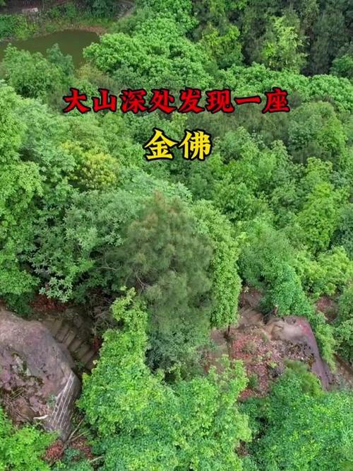 幸运满贯大佛手机版