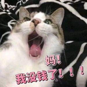 向妈妈要钱表情包一套