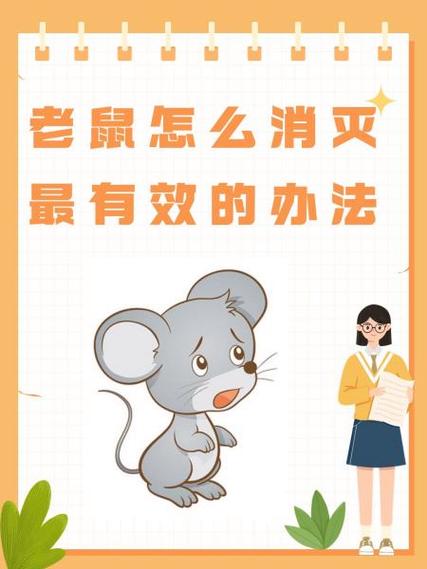 家有老鼠怎么办